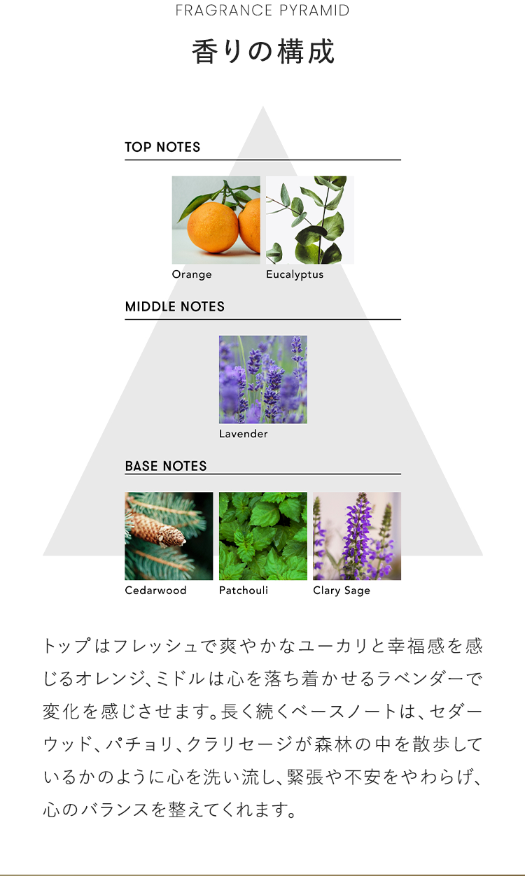 FRAGRANCE PYRAMID 香りの構成