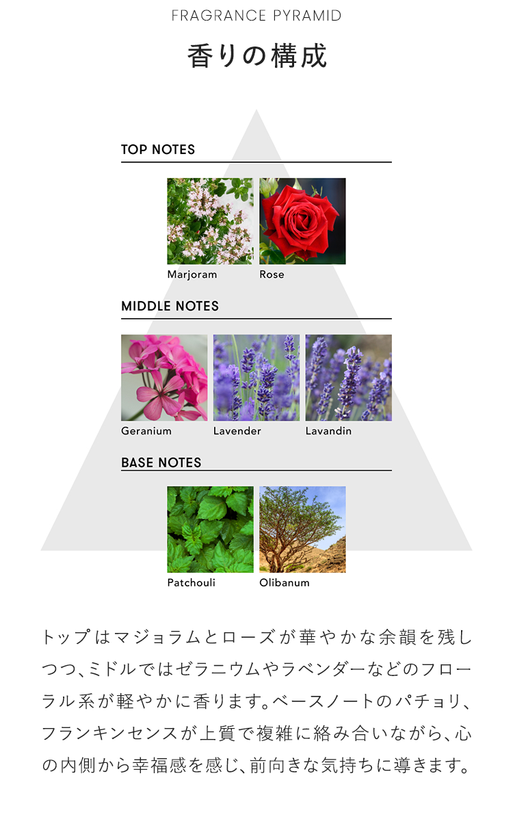 FRAGRANCE PYRAMID 香りの構成