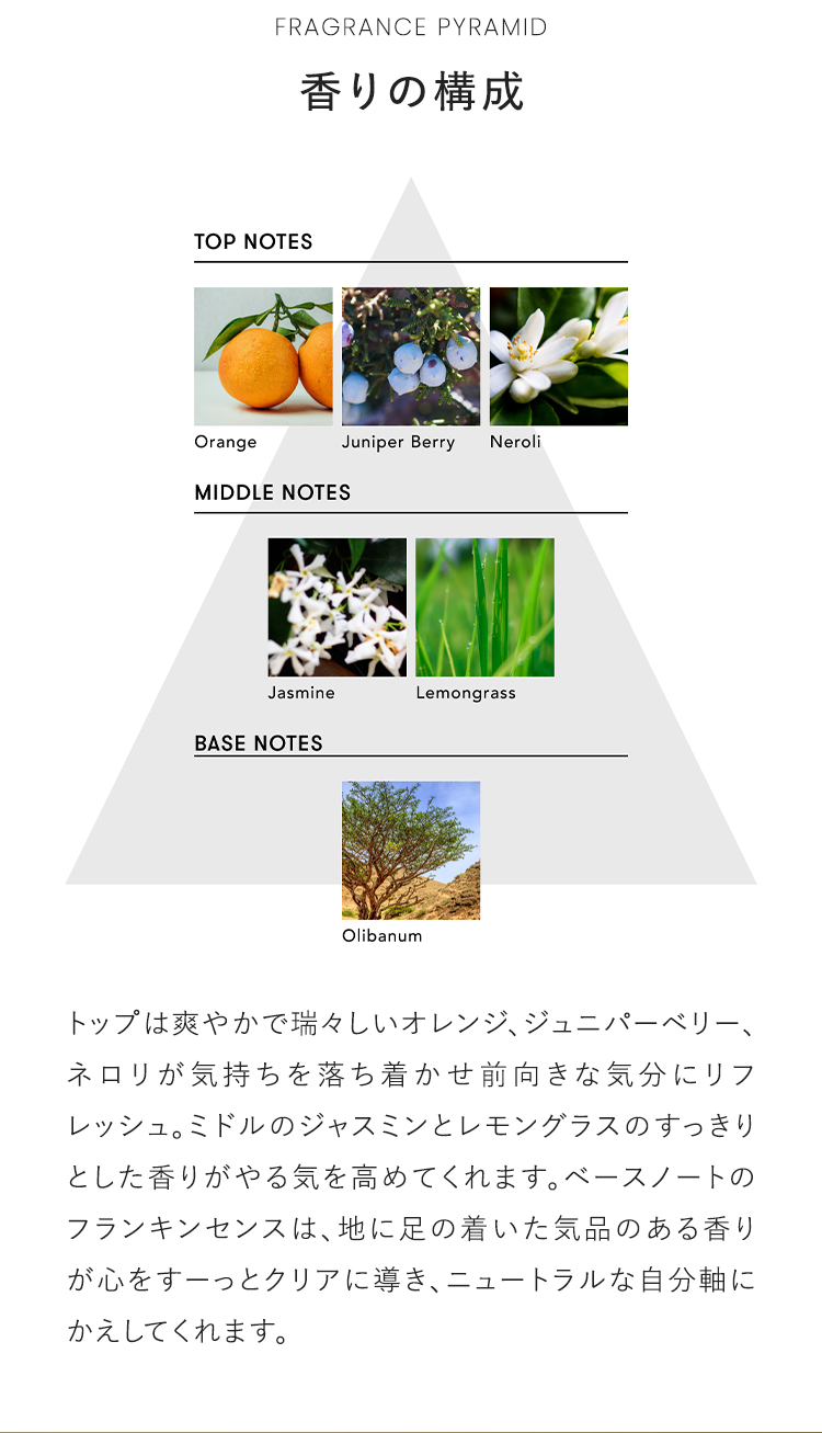 FRAGRANCE PYRAMID 香りの構成