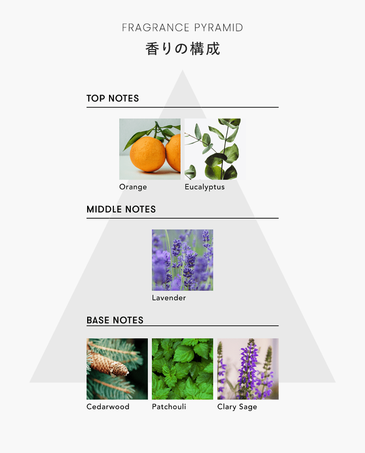 香りの構成 TOP NOTES Orange Eucalyptus MIDDLE NOTES Lavender BASE NOTES Cedarwood Patchouli Clary Sage