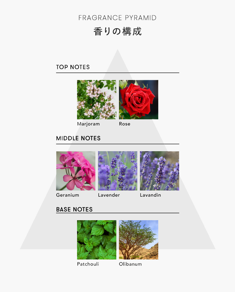 香りの構成 TOP NOTES Marjoram Rose MIDDLE NOTES Geranium Lavender Lavandin BASE NOTES Patchouli Olibanum