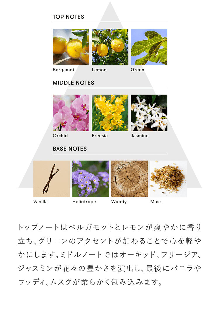 トップノートはベルガモットとレモンが爽やかに香り立ち、グリーンのアクセントが加わることで心を軽やかにします。ミドルノートではオーキッド、フリージア、ジャスミンが花々の豊かさを演出し、最後にバニラやウッディ、ムスクが柔らかく包み込みます。
