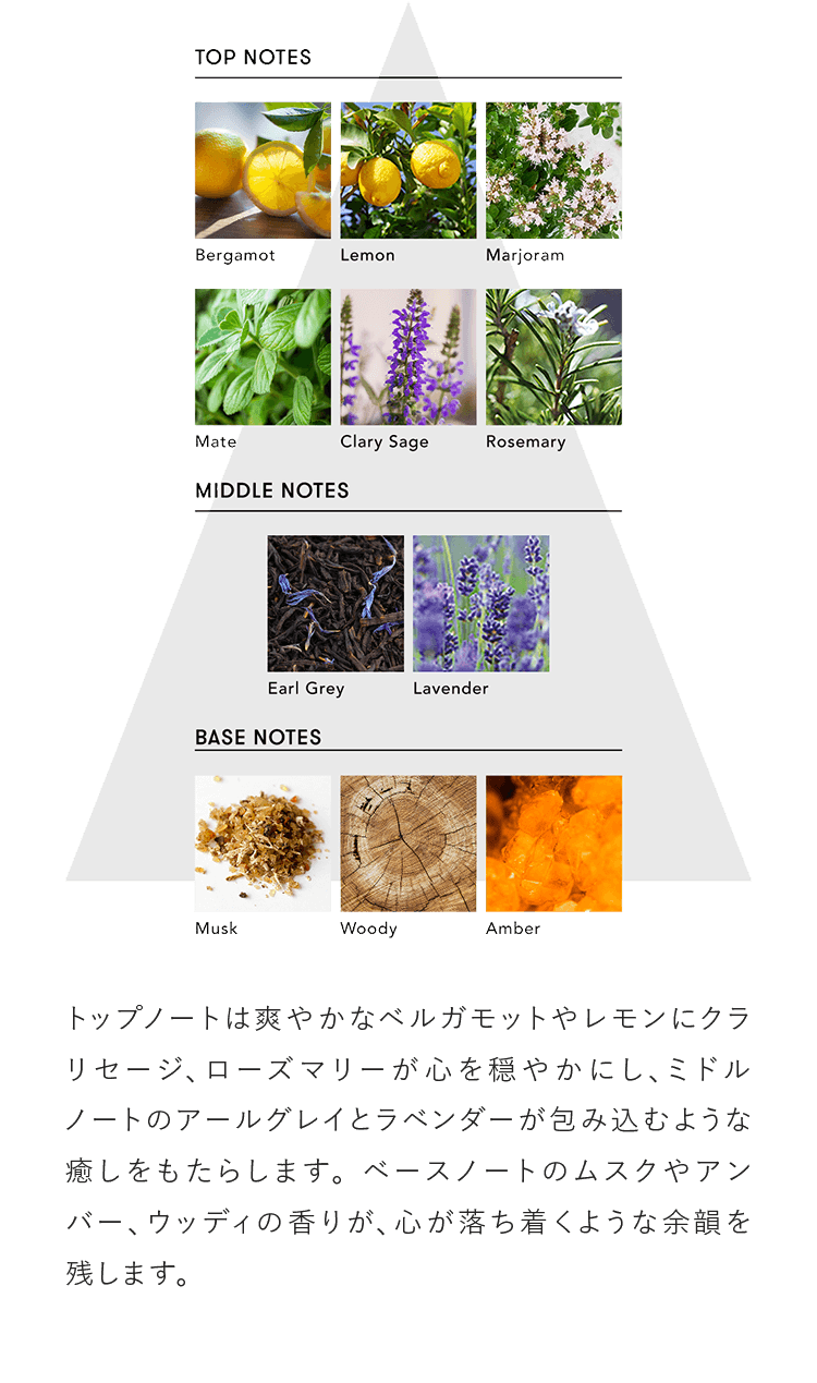 トップノートは爽やかなベルガモットやレモンにクラリセージ、ローズマリーが心を穏やかにし、ミドルノートのアールグレイとラベンダーが包み込むような癒しをもたらします。ベースノートのムスクやアンバー、ウッディの香りが、心が落ち着くような余韻を残します。
