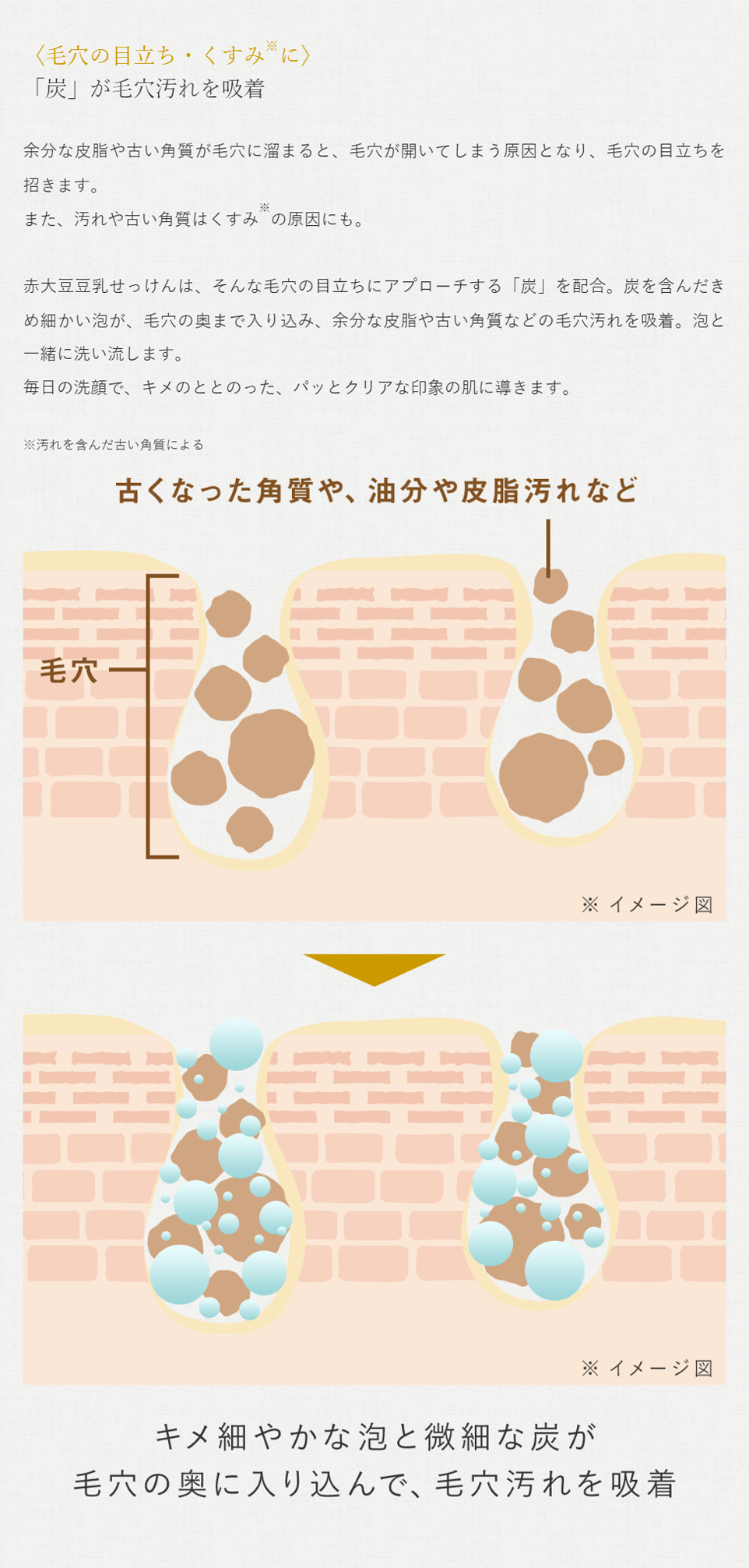 〈毛穴の目立ち・くすみ※に〉「炭」が毛穴汚れを吸着