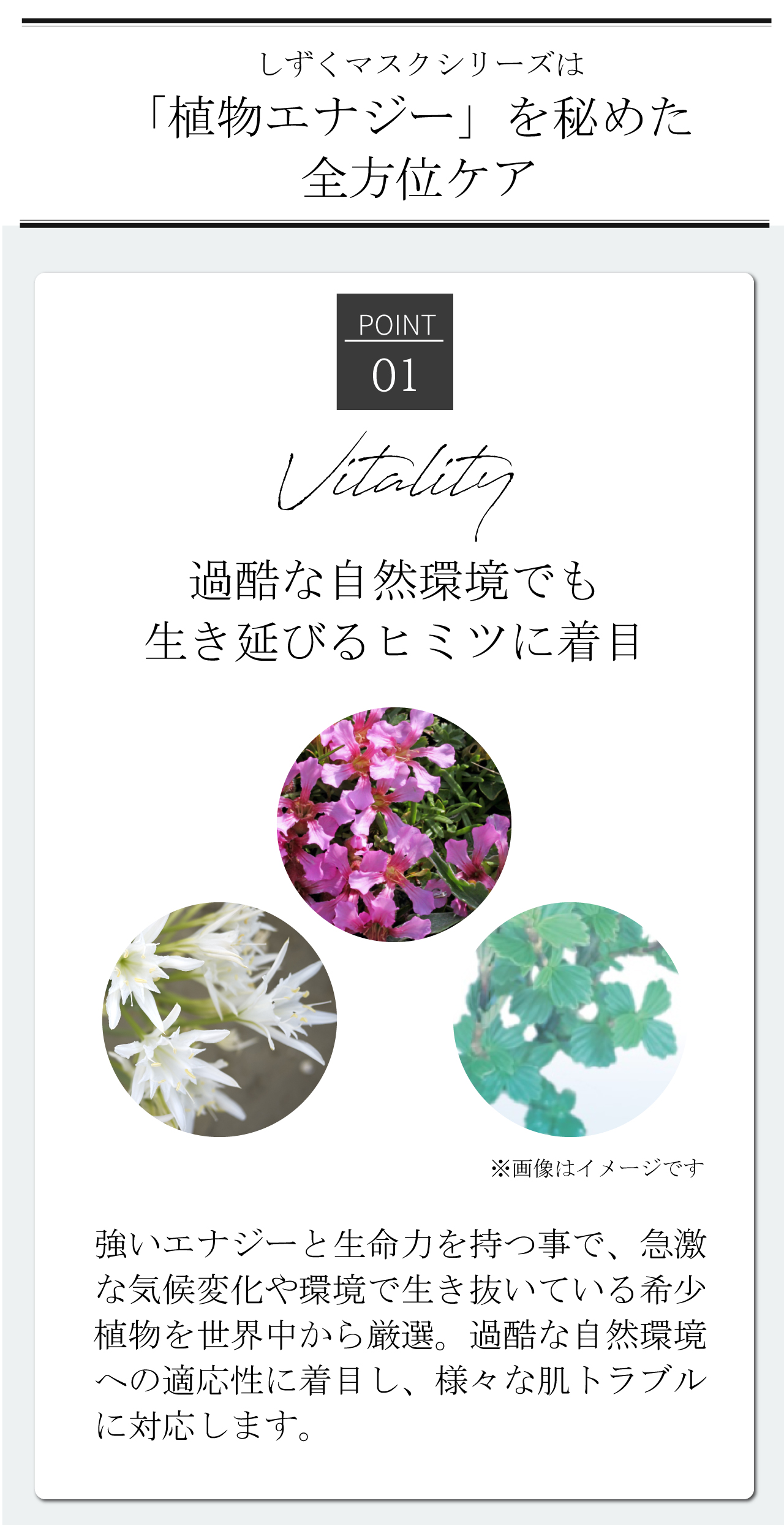 しずくマスクシリーズは「植物エナジー」を秘めた全方位ケア [Point01]Vitality | 過酷な自然環境でも生き延びるヒミツに着目 強いエナジーと生命力を持つ事で、急激な気候変化や環境で生き抜いている希少植物を世界中から厳選。過酷な自然環境への適応性に着目し、様々な肌トラブルに対応します。