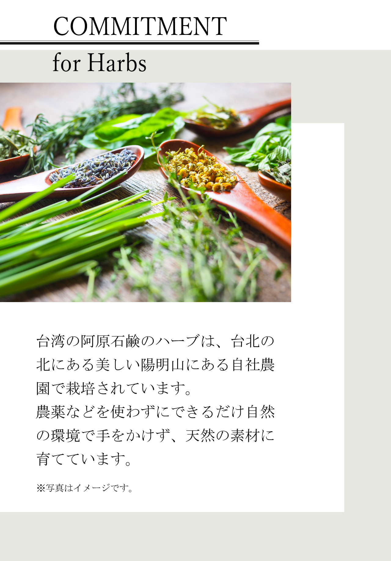 公式]石鹸 阿原（YUAN） ソープ4点平安セット（ヨモギ・ランタナ