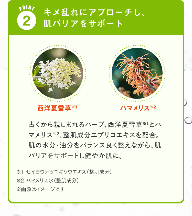 POINT 2.キメ乱れにアプローチし、肌バリアをサポート 古くから親しまれるハーブ、西洋夏雪草※1とハマメリス※2、整肌成分エブリコエキスを配合。肌の水分・油分をバランス良く整えながら、肌バリアをサポートし健やか肌に。 | ※1 セイヨウナツユキソウエキス（整肌成分） ※2 ハマメリス水（整肌成分） ※画像はイメージです