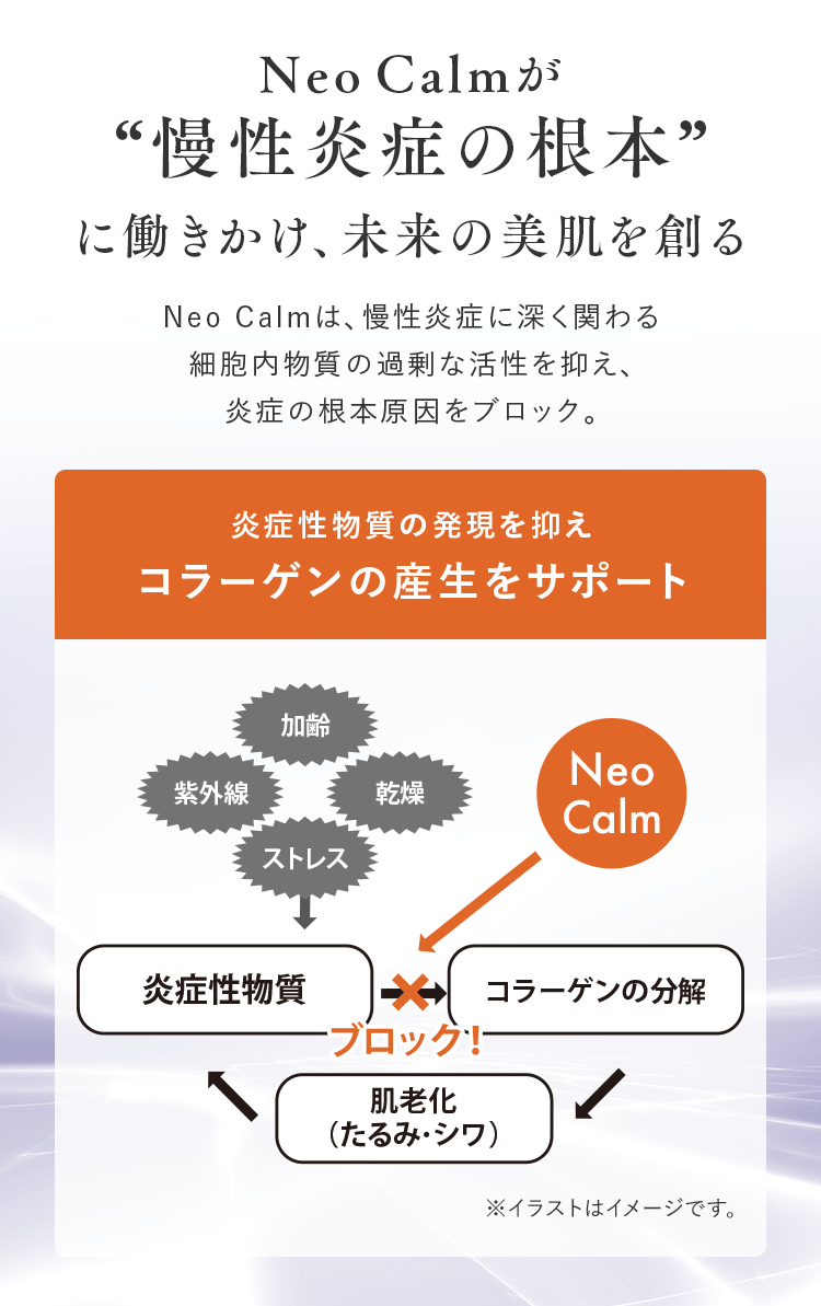 Neo Calmが“慢性炎症の根本” に働きかけ、未来の美肌を創る