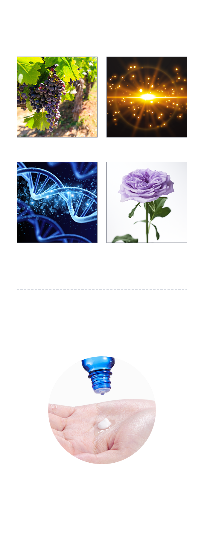 PICK UP｜クリームと共通の厳選美容成分・クリームとの合わせ使いで効果実感UP！