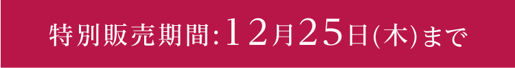 特別販売期間:12月25日(木)まで