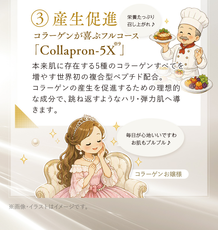3.産生促進 コラーゲンが喜ぶフルコース「Collapron-5X※9」