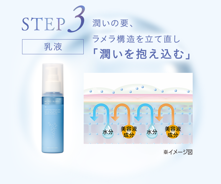 STEP3｜乳液｜潤いの要、ラメラ構造を立て直し「潤いを抱え込む」