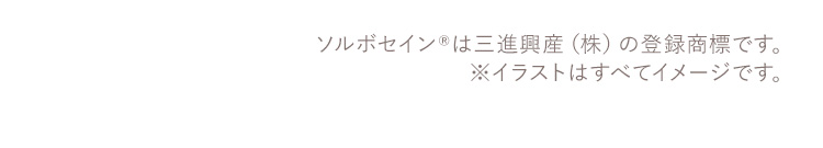 ソルボセイン&reg;は三進興産（株）の登録商標です。 ※イラストはすべてイメージです。