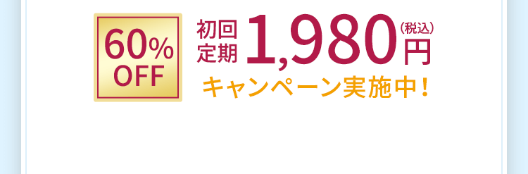 初回定期1,980円(税込)