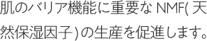 肌のバリア機能に重要なNMF(天然保湿因子)の生産を促進します。