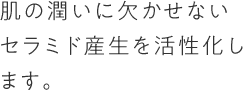 肌の潤いに欠かせないセラミド産生を活性化します。