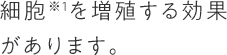 細胞※1を増殖する効果があります。