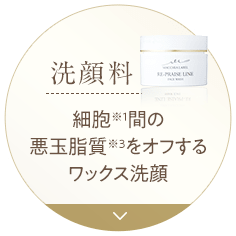 [洗顔料] 細胞※1間の悪玉脂質※3をオフするワックス洗顔