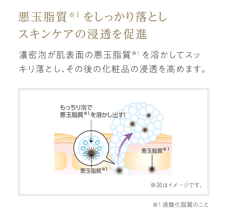 悪玉脂質※1をしっかり落としスキンケアの浸透を促進 濃密泡が肌表面の悪玉脂質※1を溶かしてスッキリ落とし、その後の化粧品の浸透を高めます。 ※1 過酸化脂質のこと