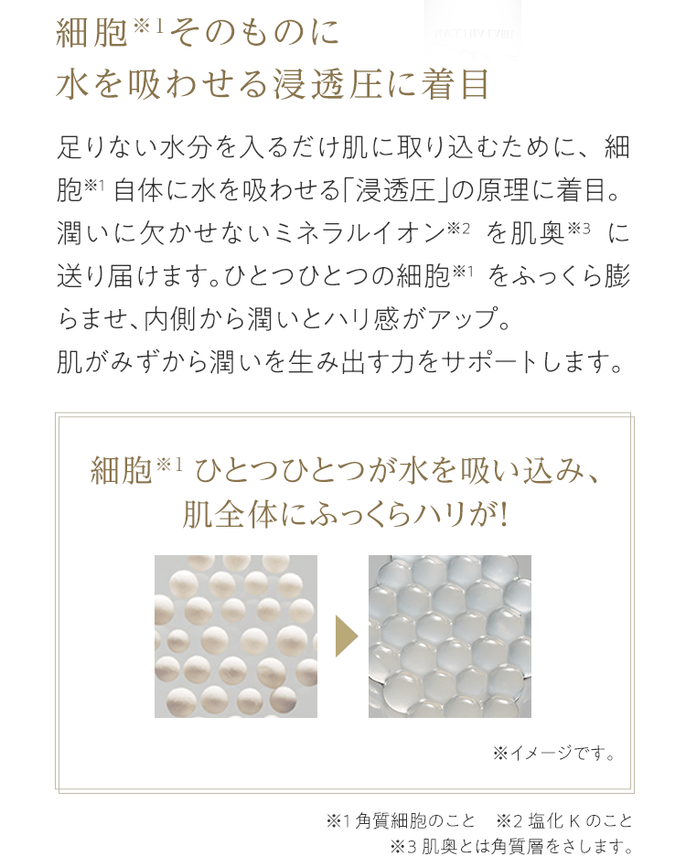 細胞※1そのものに水を吸わせる浸透圧に着目 足りない水分を入るだけ肌に取り込むために、細胞※1自体に水を吸わせる「浸透圧」の原理に着目。潤いに欠かせないミネラルイオン※2を肌奥※3に送り届けます。ひとつひとつの細胞※1をふっくら膨らませ、内側から潤いとハリ感がアップ。肌がみずから潤いを生み出す力をサポートします。 細胞※1ひとつひとつが水を吸い込み、肌全体にふっくらハリが！ ※イメージです。 ※1 角質細胞のこと　※2 塩化Kのこと ※3 肌奥とは角質層をさします。