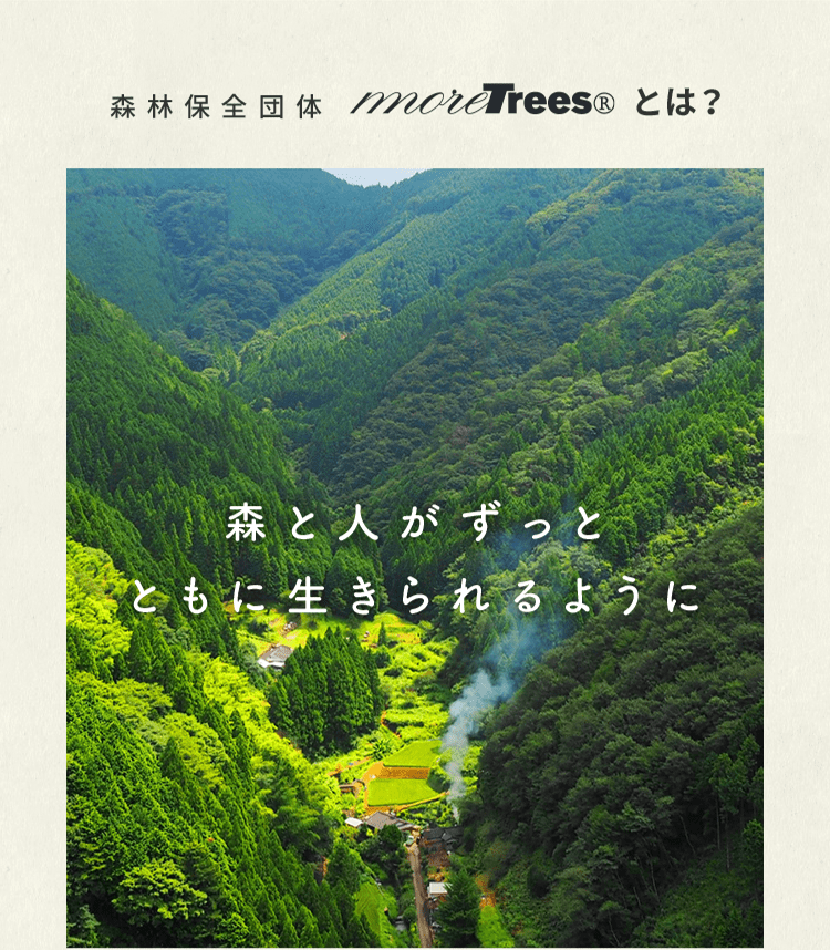 森林保全団体more trees(R)とは？