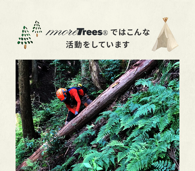 more trees(R)ではこんな活動をしています