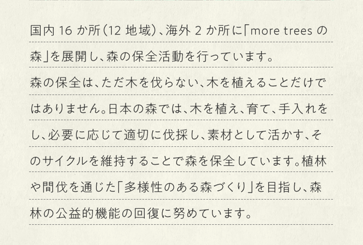 国内16か所（12地域）、海外2か所に「more treesの森」を展開し、森の保全活動を行っています。森の保全は、ただ木を伐らない、木を植えることだけではありません。日本の森では、木を植え、育て、手入れをし、必要に応じて適切に伐採し、素材として活かす、そのサイクルを維持することで森を保全しています。植林や間伐を通じた「多様性のある森づくり」を目指し、森林の公益的機能の回復に努めています。