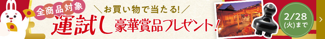 全商品対象　お買い物で当たる！運試し豪華賞品プレゼント　2/28（火）まで