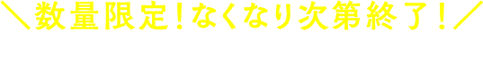 数量限定！なくなり次第終了！お好きなアイテムをお選びください