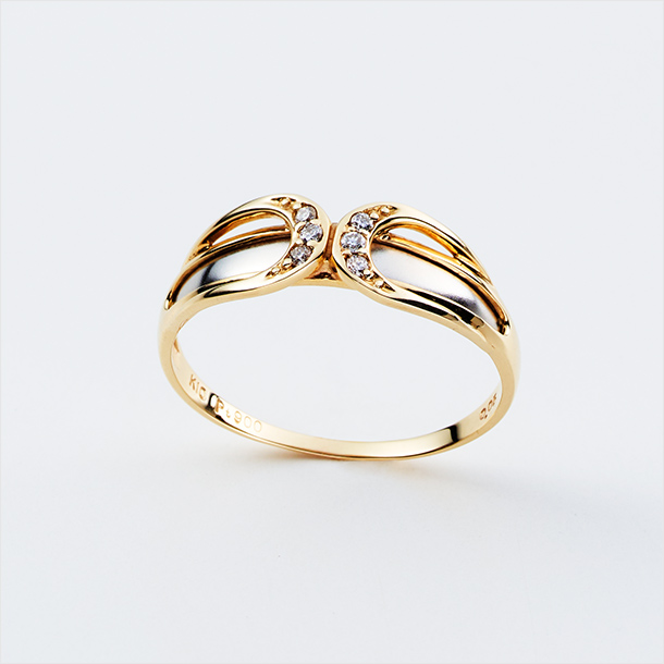 ダイヤモンドデュオカラーリング写真