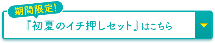 期間限定！『初夏のイチ押しセット』はこちら