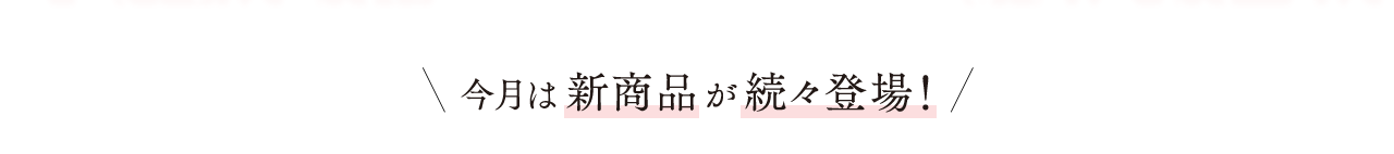 今月は新商品が続々登場!