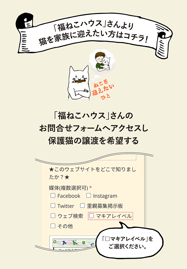 「福ねこハウス」さんより猫を家族に迎えたい方はコチラ！ | 「福ねこハウス」さんのお問合せフォームへアクセスし保護猫の譲渡を希望する → 「□マキアレイベル」をご選択ください。