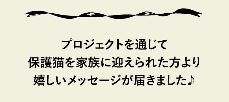 プロジェクトを通じて保護猫を家族に迎えられた方より嬉しいメッセージが届きました♪