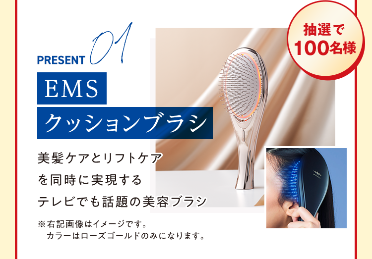 抽選で100名様 PRESENT01 EMSクッションブラシ