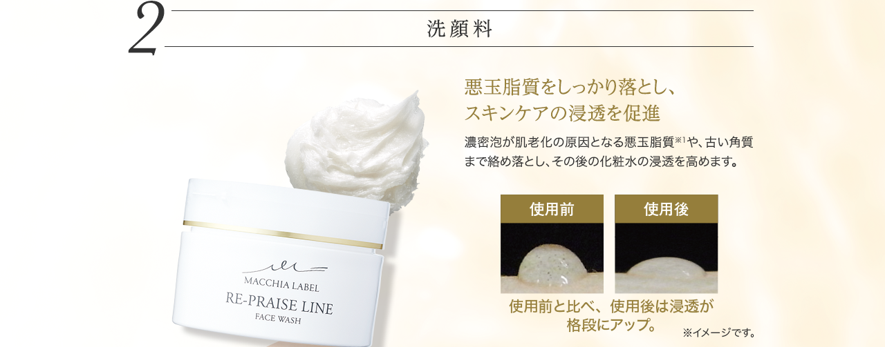 洗顔料　悪玉脂質をしっかり落とし、スキンケアの浸透を促進