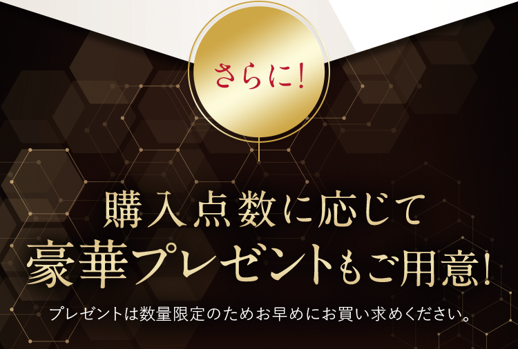 さらに！購入点数に応じて豪華プレゼントもご用意！