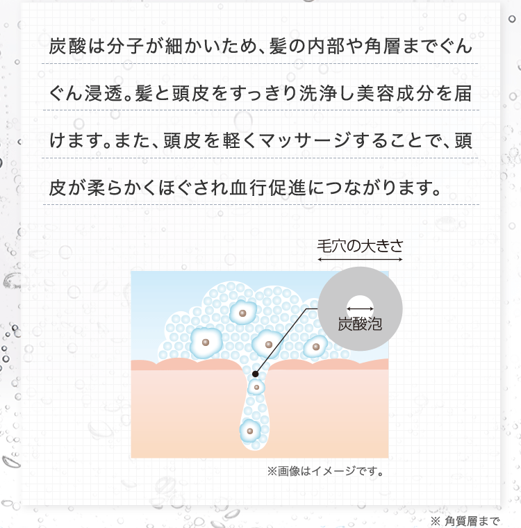 炭酸は分子が細かいため、髪の内部や角層までぐんぐん浸透。髪と頭皮をすっきり洗浄し美容成分を届けます。また、頭皮を軽くマッサージすることで、頭皮が柔らかくほぐされ血行促進につながります。※角質層まで