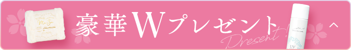 豪華Wプレゼント