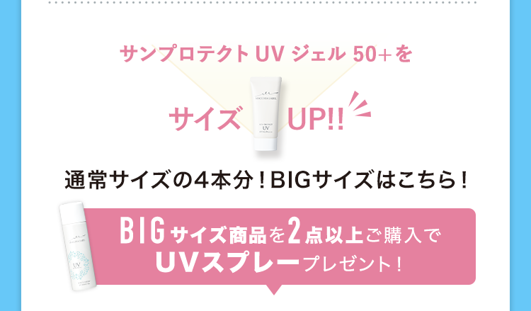通常サイズの4本分！BIGサイズはこちら！