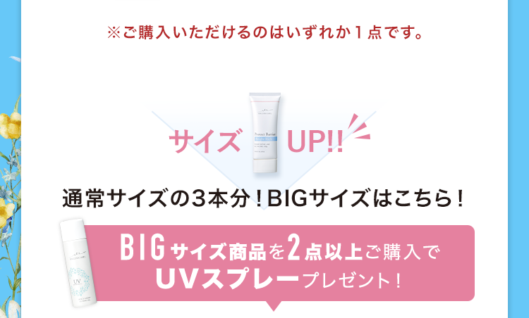 通常サイズの3本分！BIGサイズはこちら！