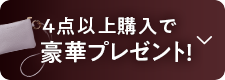 4点以上購入で豪華プレゼント!