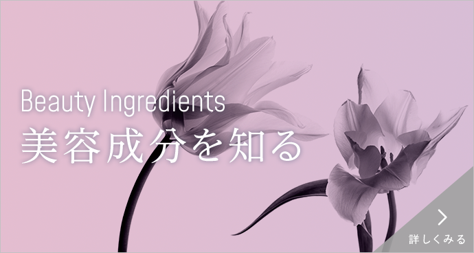 美容成分を知る